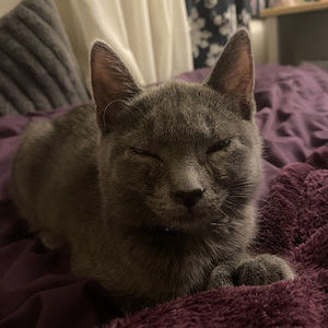 Meet your Posher, Manjj